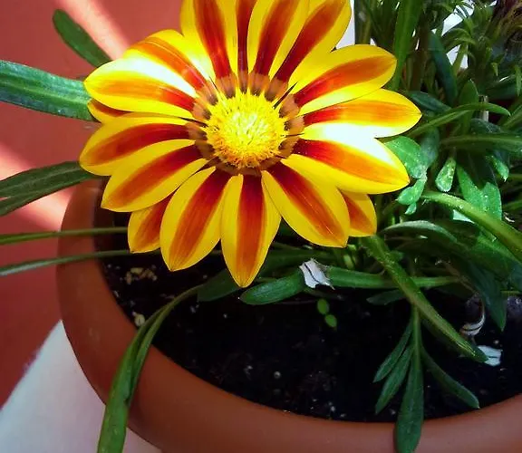 Lägenhetshotell Anneta 2*